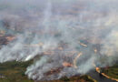 Área queimada no pantanal em 2024 já é 54% maior do que em ano de destruição recorde