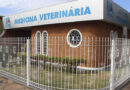 Clínica-Escola de Medicina Veterinária da Uniara encerra atendimentos do semestre nesta sexta, dia 28