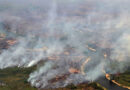 Brasil registra 278.2 mil focos de incêndio no ano, pior número desde 2010